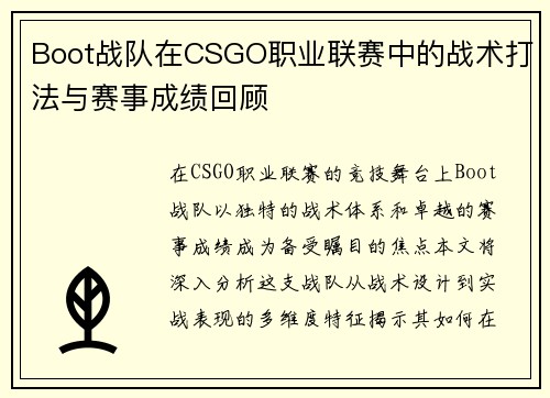 Boot战队在CSGO职业联赛中的战术打法与赛事成绩回顾