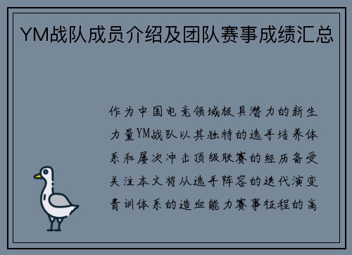YM战队成员介绍及团队赛事成绩汇总