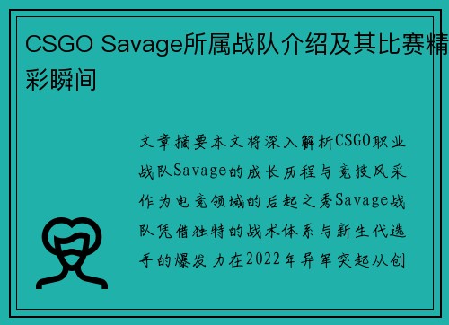 CSGO Savage所属战队介绍及其比赛精彩瞬间